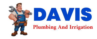 Trusted plumber in COVE